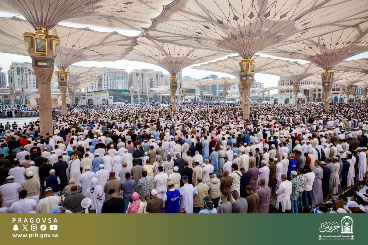 oooooooodonojoooooooooooooo